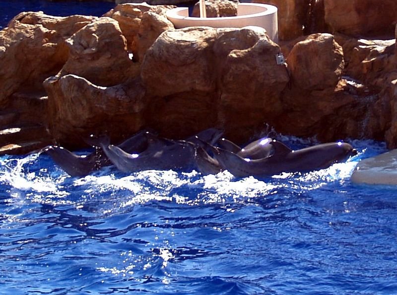 photo45.jpg