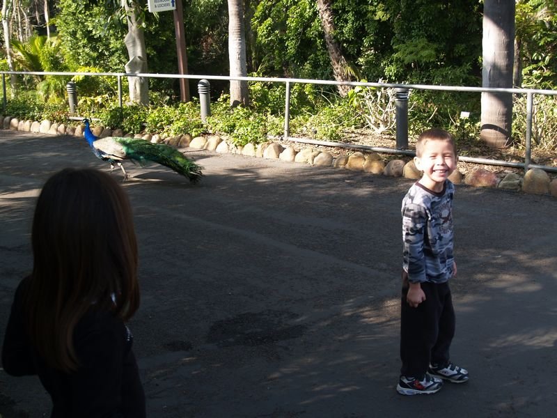 photo151.jpg