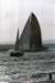 americascup1988564_small.jpg
