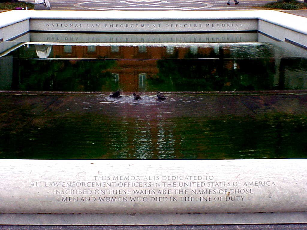 photo172.jpg