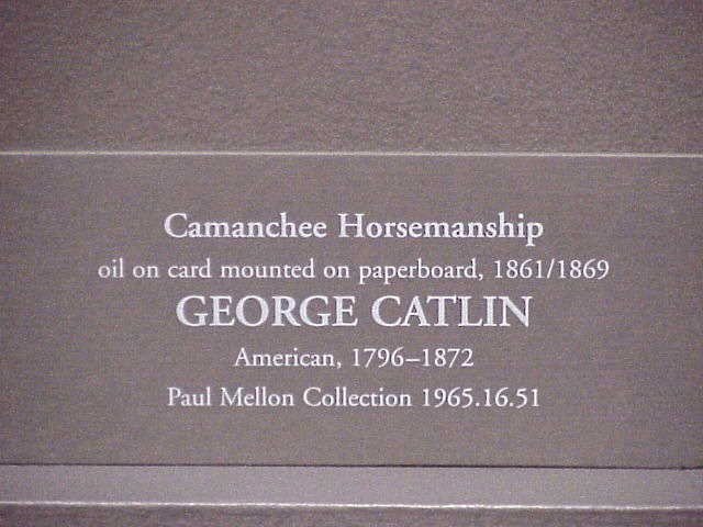 photo233.jpg