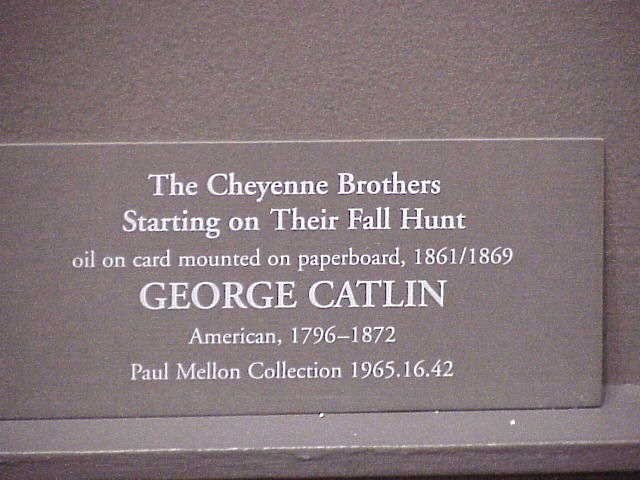photo239.jpg