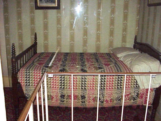 photo316.jpg