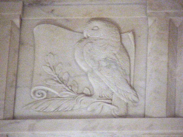 photo348.jpg