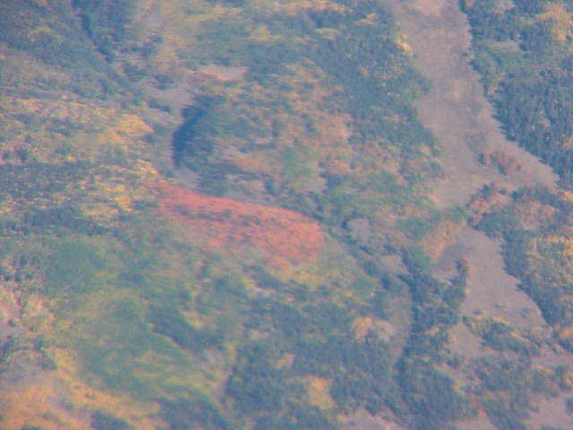 photo68.jpg