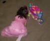 image00045_small.jpg