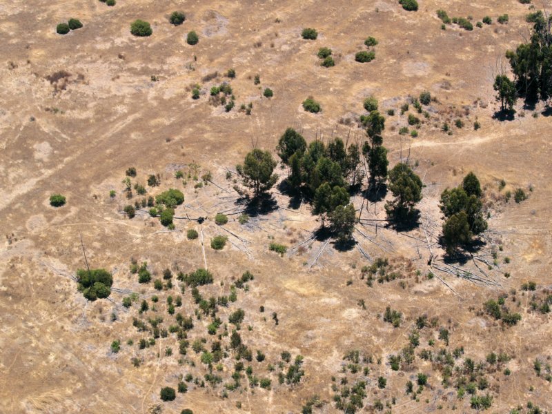 mcasmiramar.jpg