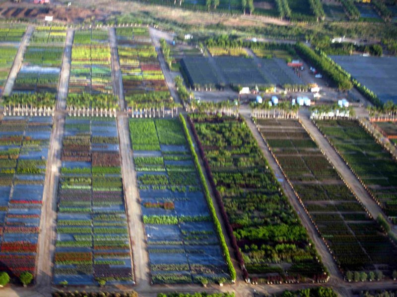 mcasnursery.jpg