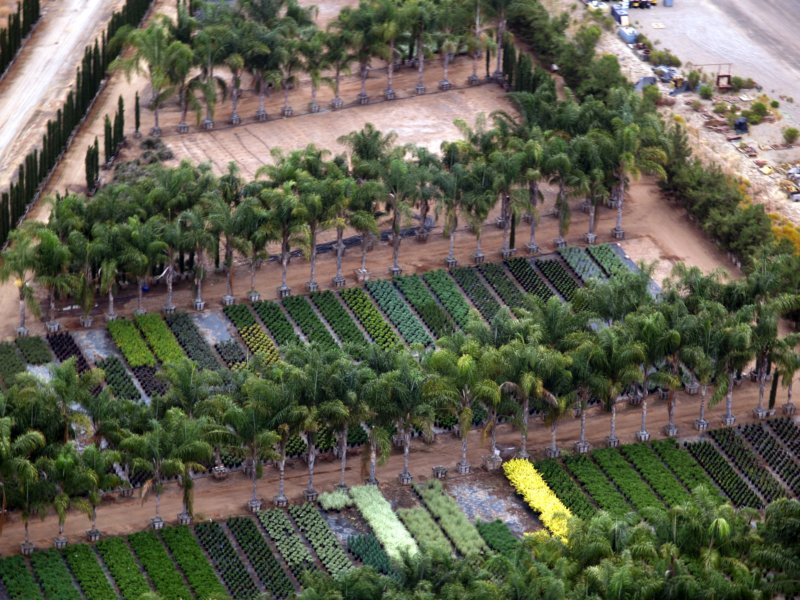 mcasnursery12.jpg