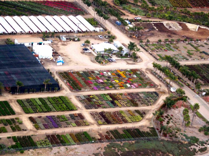 mcasnursery3.jpg