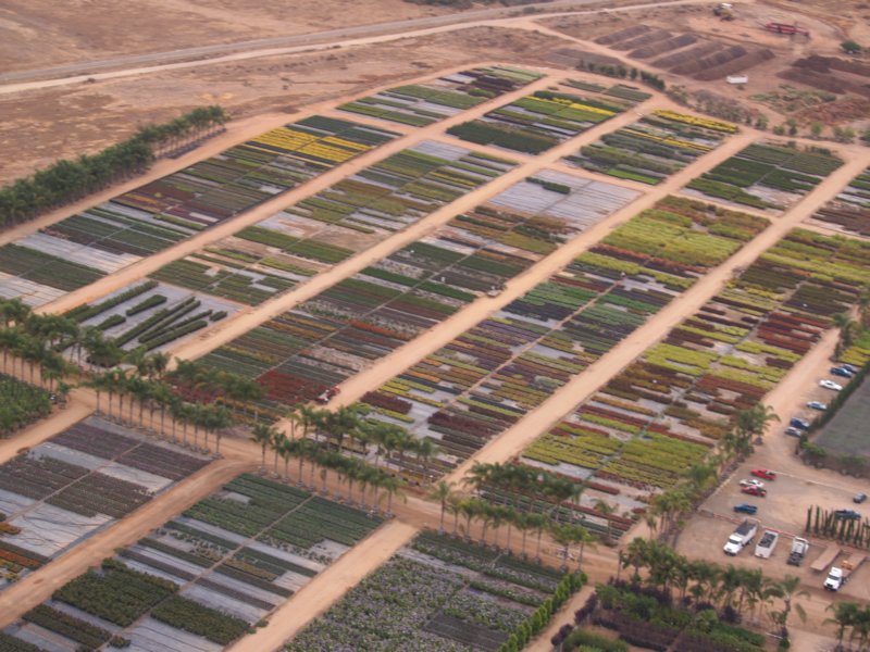 mcasnursery7.jpg
