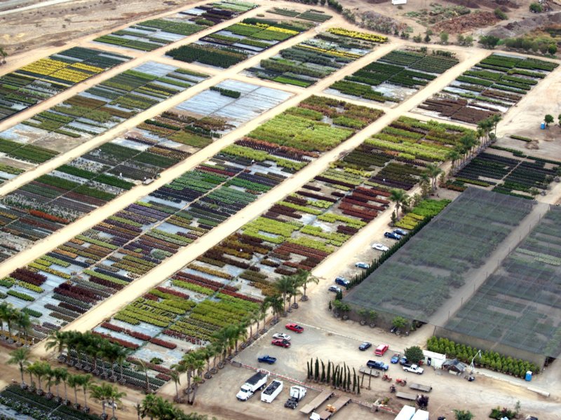 mcasnursery8.jpg