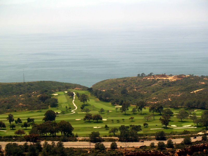 golf2.jpg
