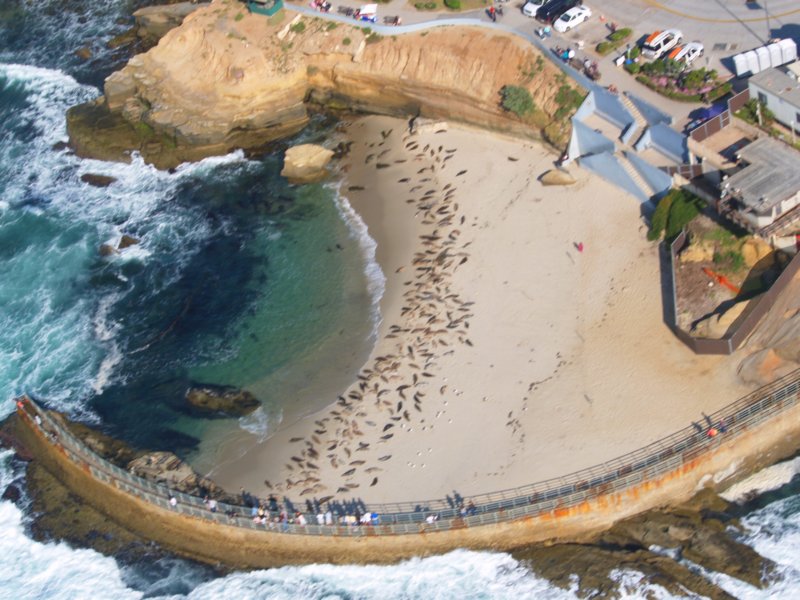 lajollachildrenspool.jpg