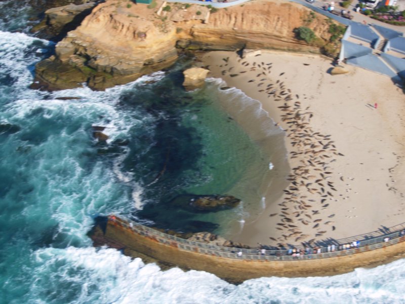 lajollachildrenspool2.jpg