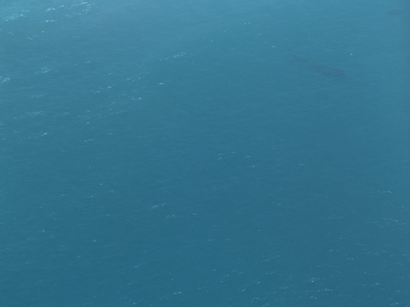 ocean.jpg