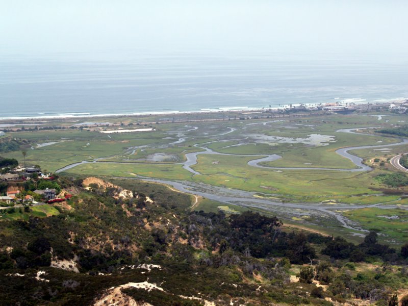 sanelijo2.jpg