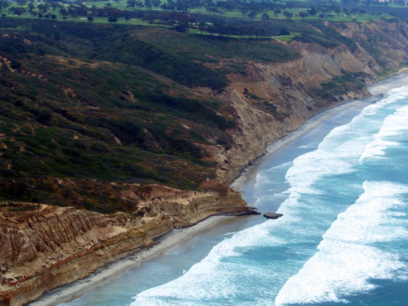 torrey15.jpg