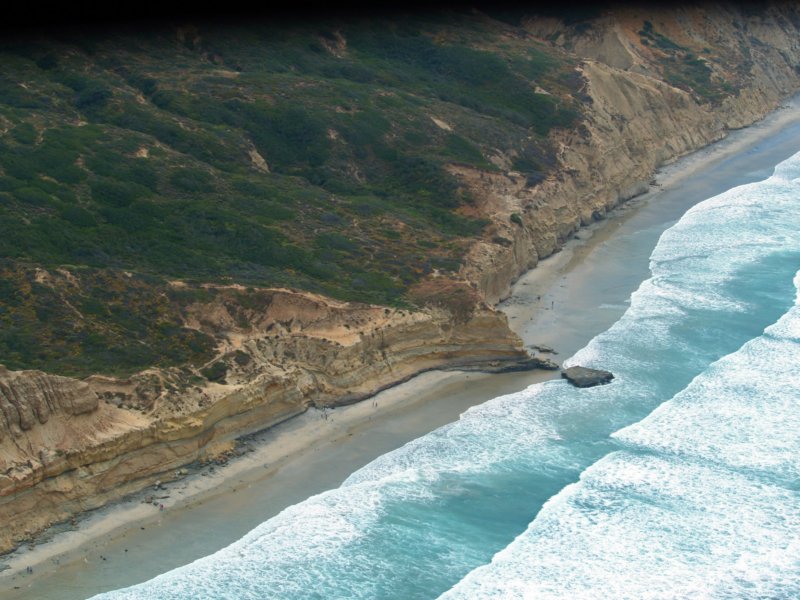 torrey16.jpg