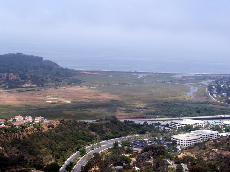torrey8.jpg