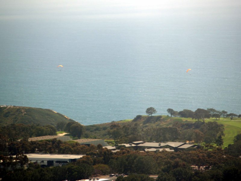 torreyparasail.jpg