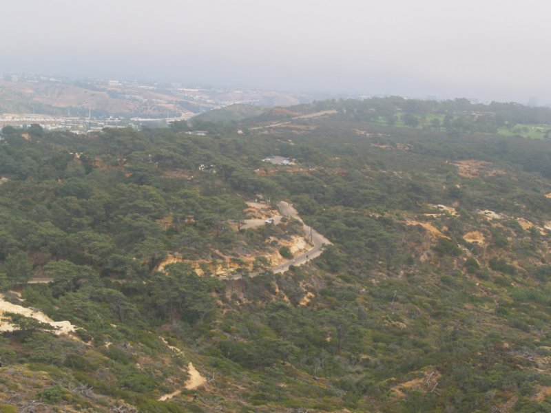 torreypines4.jpg