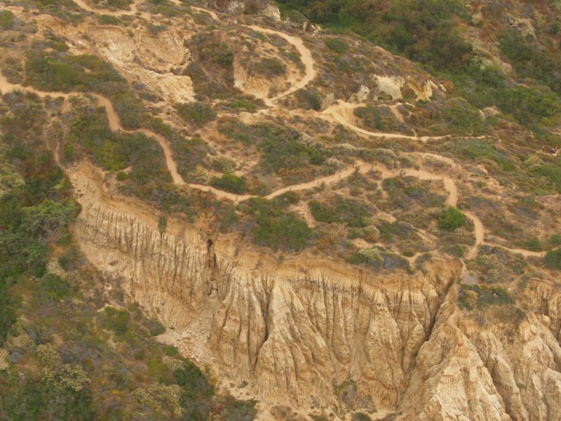 torreypines6.jpg