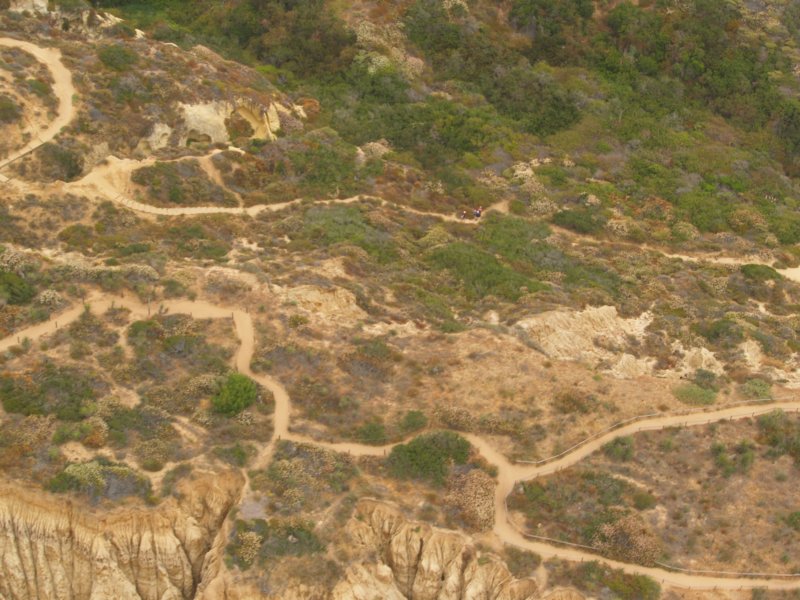 torreypines7.jpg