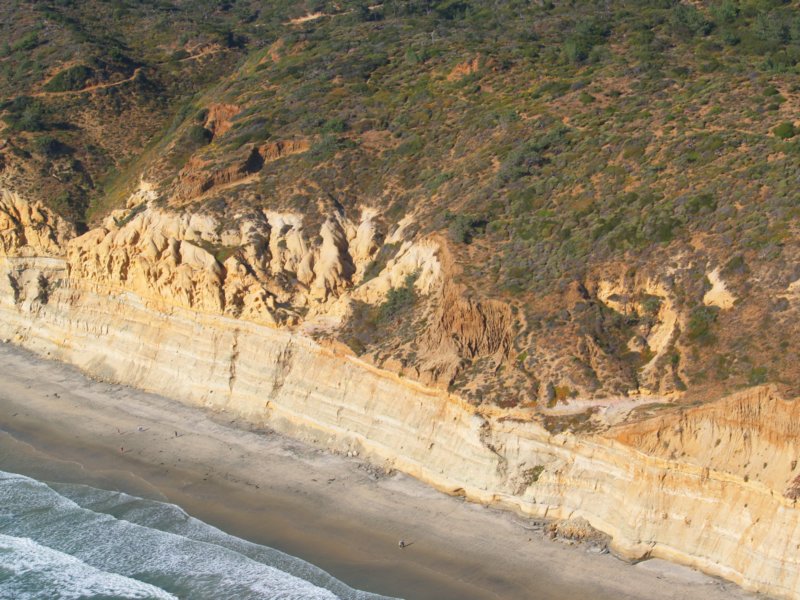 torreypines9.jpg