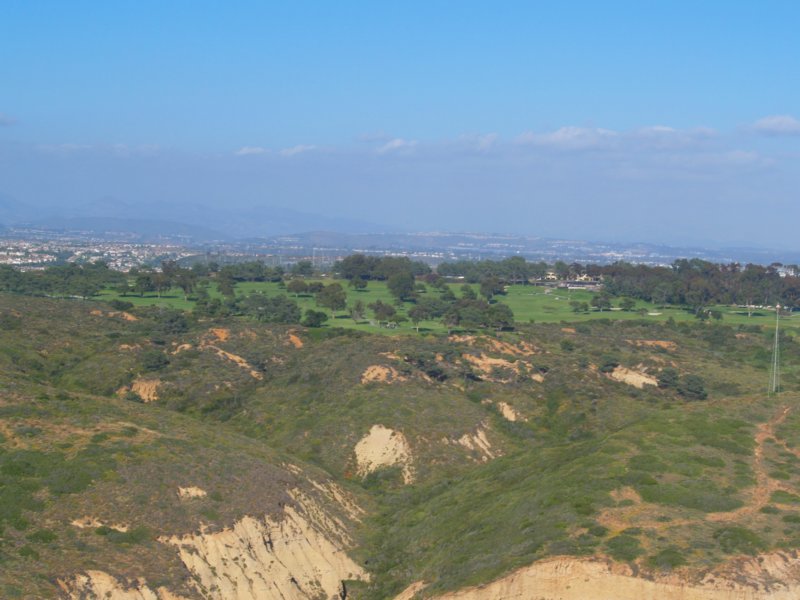 torreypinesbeach.jpg