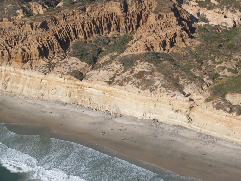torreypinesbeach4.jpg