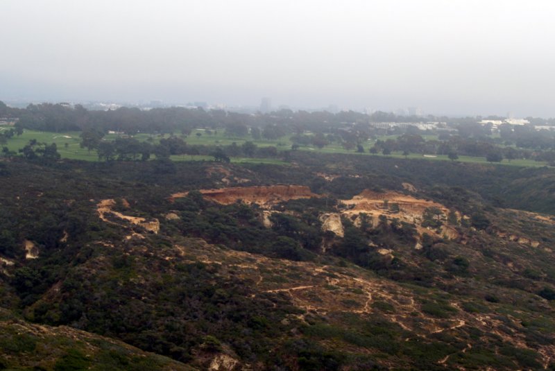 torreypinesgc.jpg