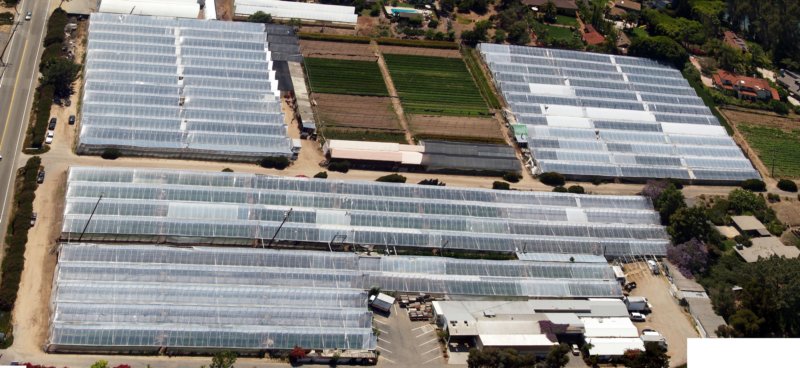 _56lacostaavegreenhouseencpanorama.jpg