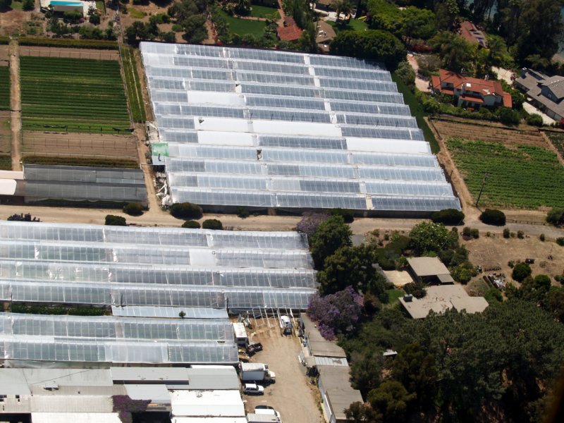 lacostaavegreenhouseencpano2.jpg