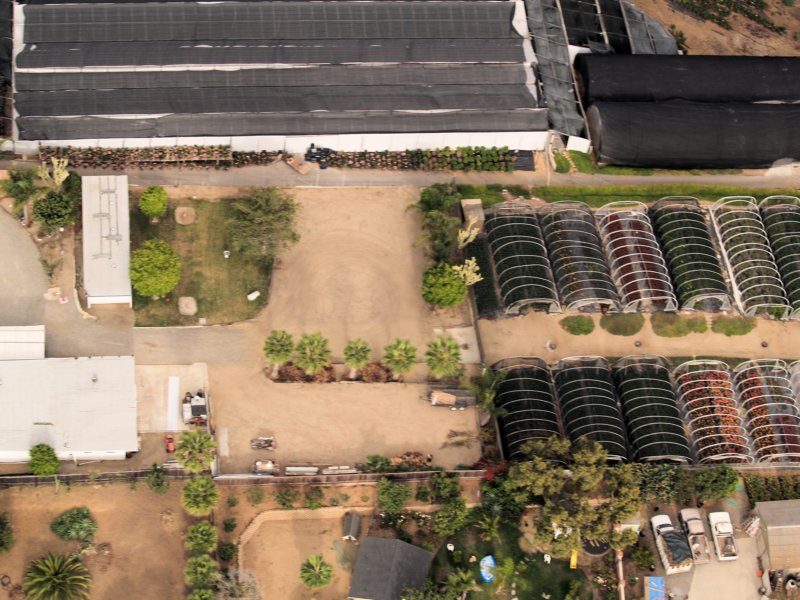 p8116906leucadiablvdnurseryencinitas.jpg