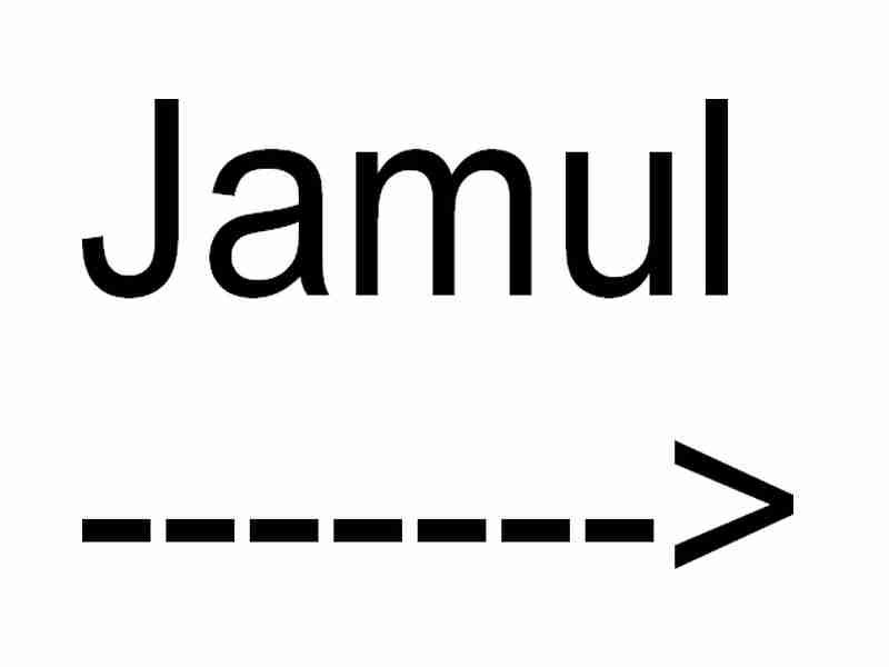 jamul________________sign.jpg