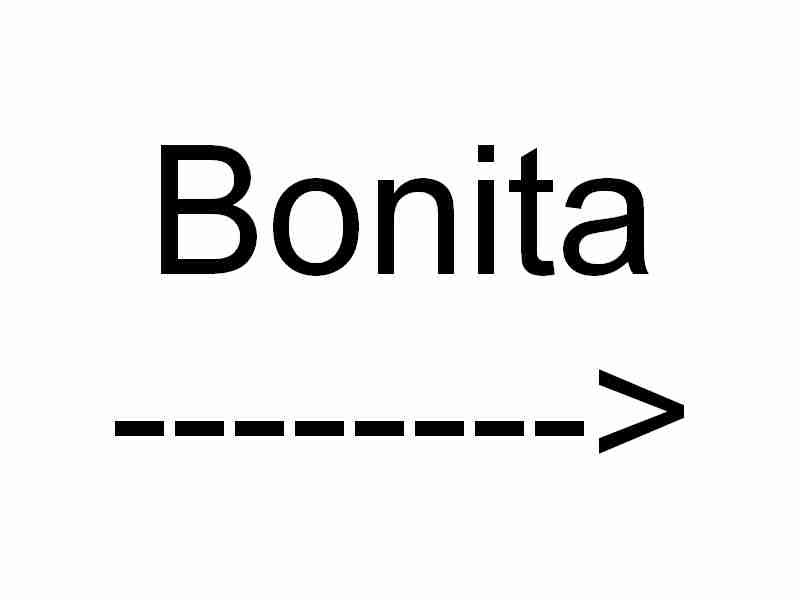 bonita_________sign.jpg