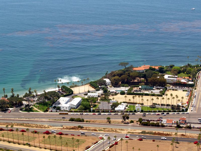 swamiskelpencinitas.jpg