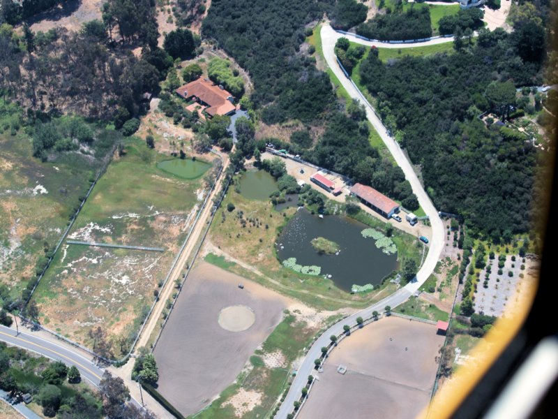 homeslaorillaenc.jpg