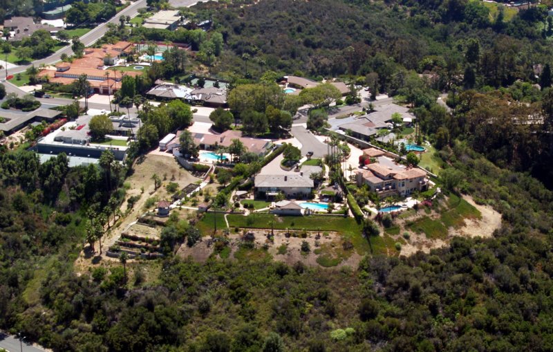 toyonrdsdsu.jpg