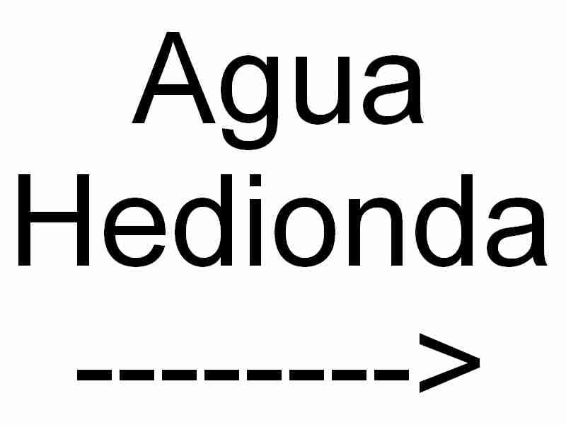 aguahedionda_________sign.jpg