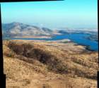 group1576171773otayres_6171775otayres3images_small.jpg