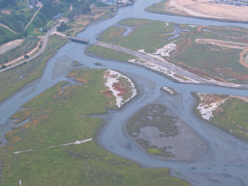sandieguitoriver.jpg