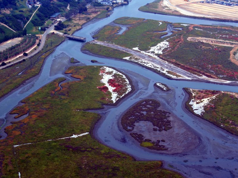 sandieguitorivercontrast.jpg