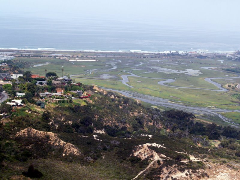 sanelijo.jpg