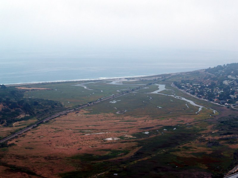 torreypines.jpg