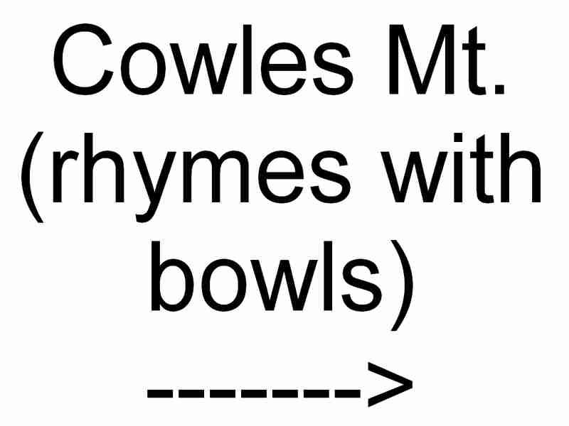 cowles1__________sign.jpg