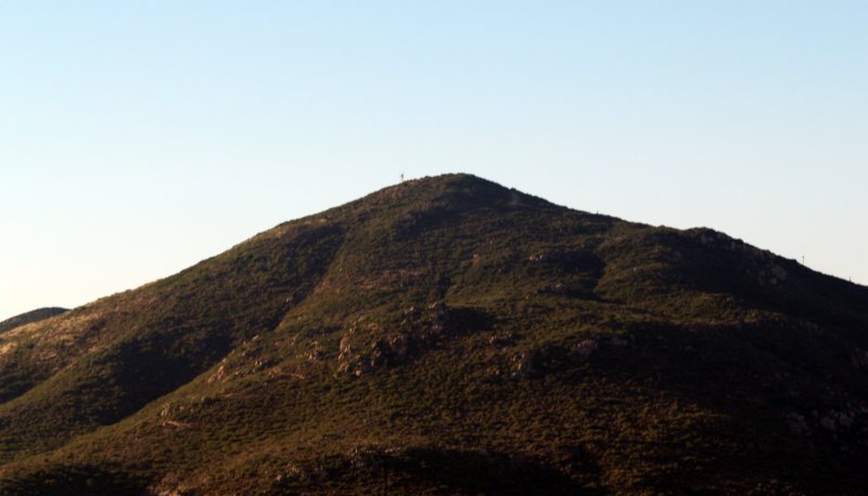 cowles5.jpg
