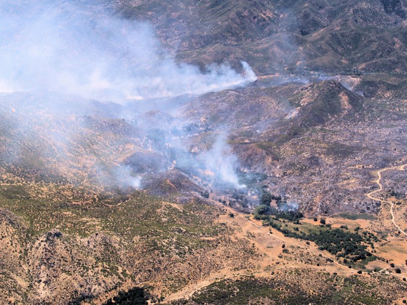 newseaglefire19.jpg