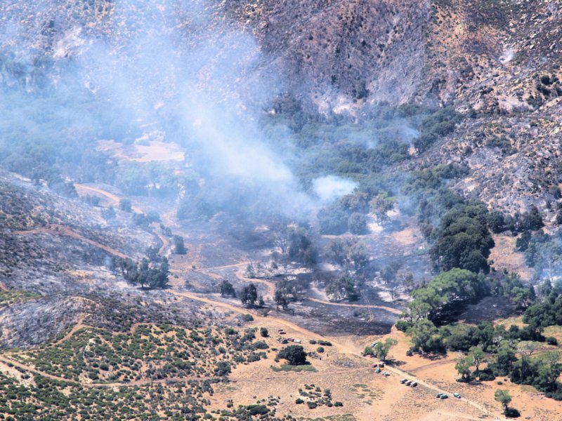 newseaglefire20.jpg